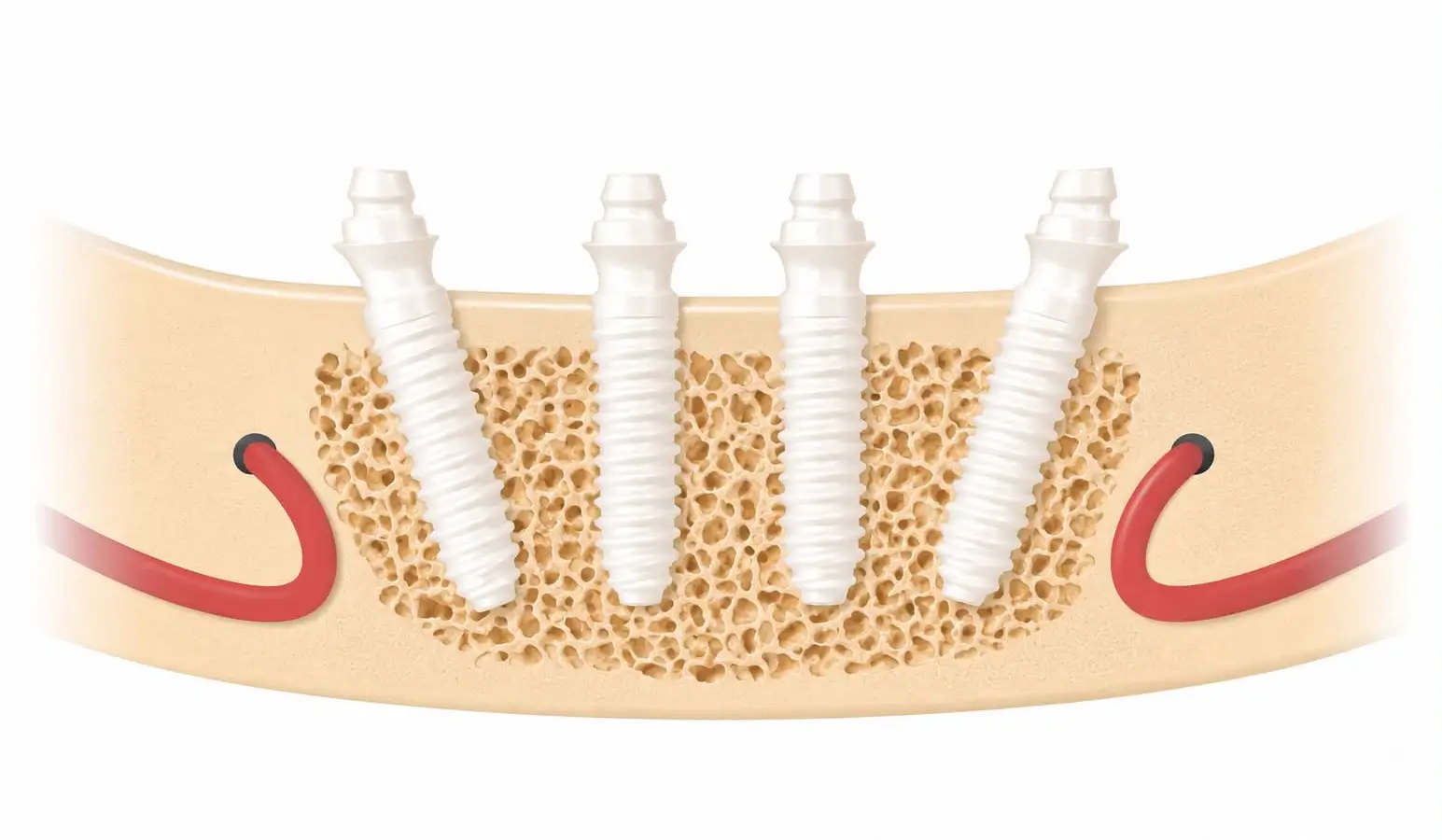 Feher Dental Team