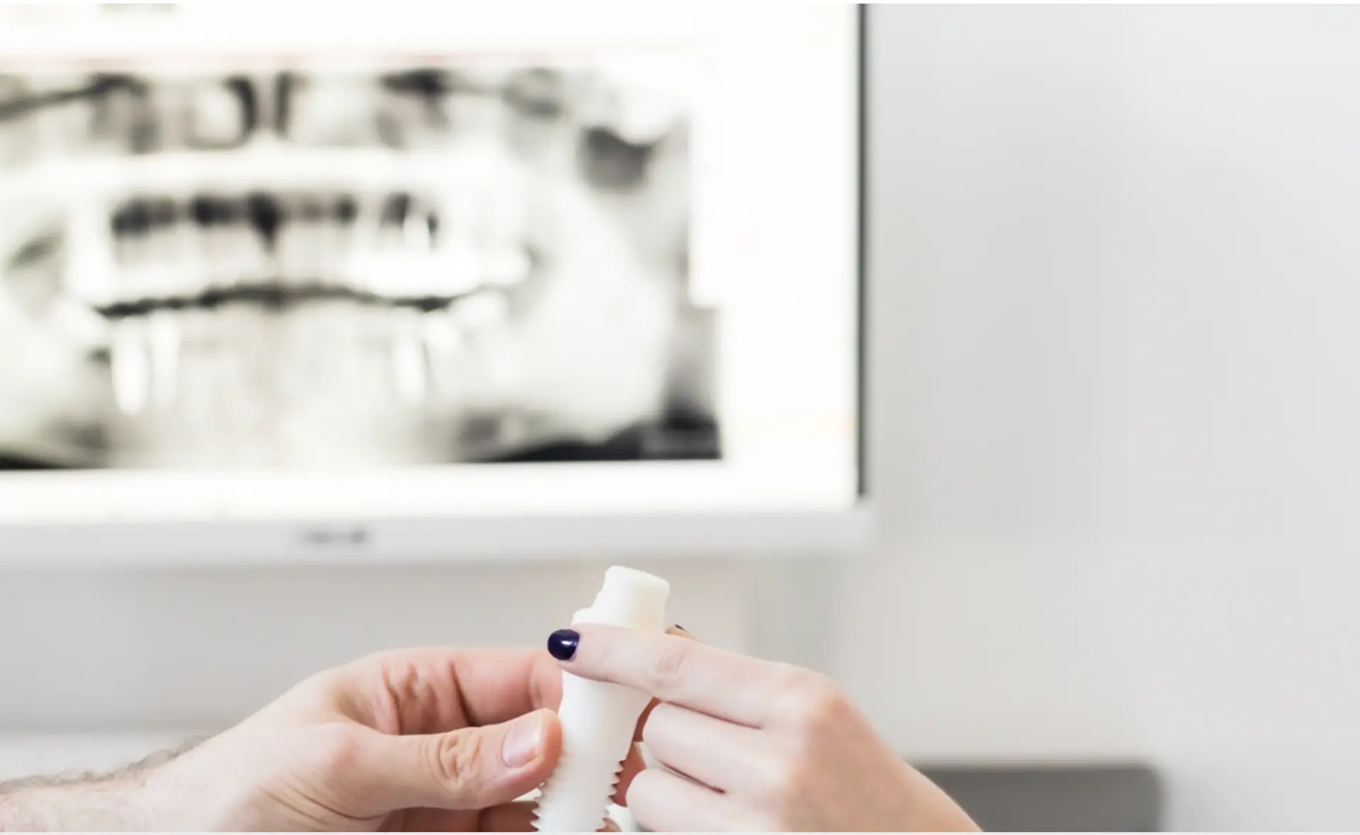 Fehér Dental Team